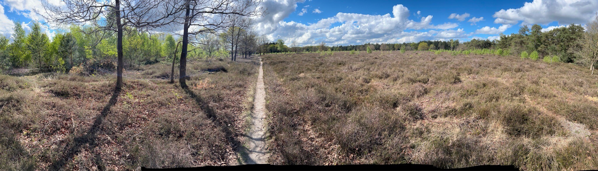 Kanonsbergroute Maashorst