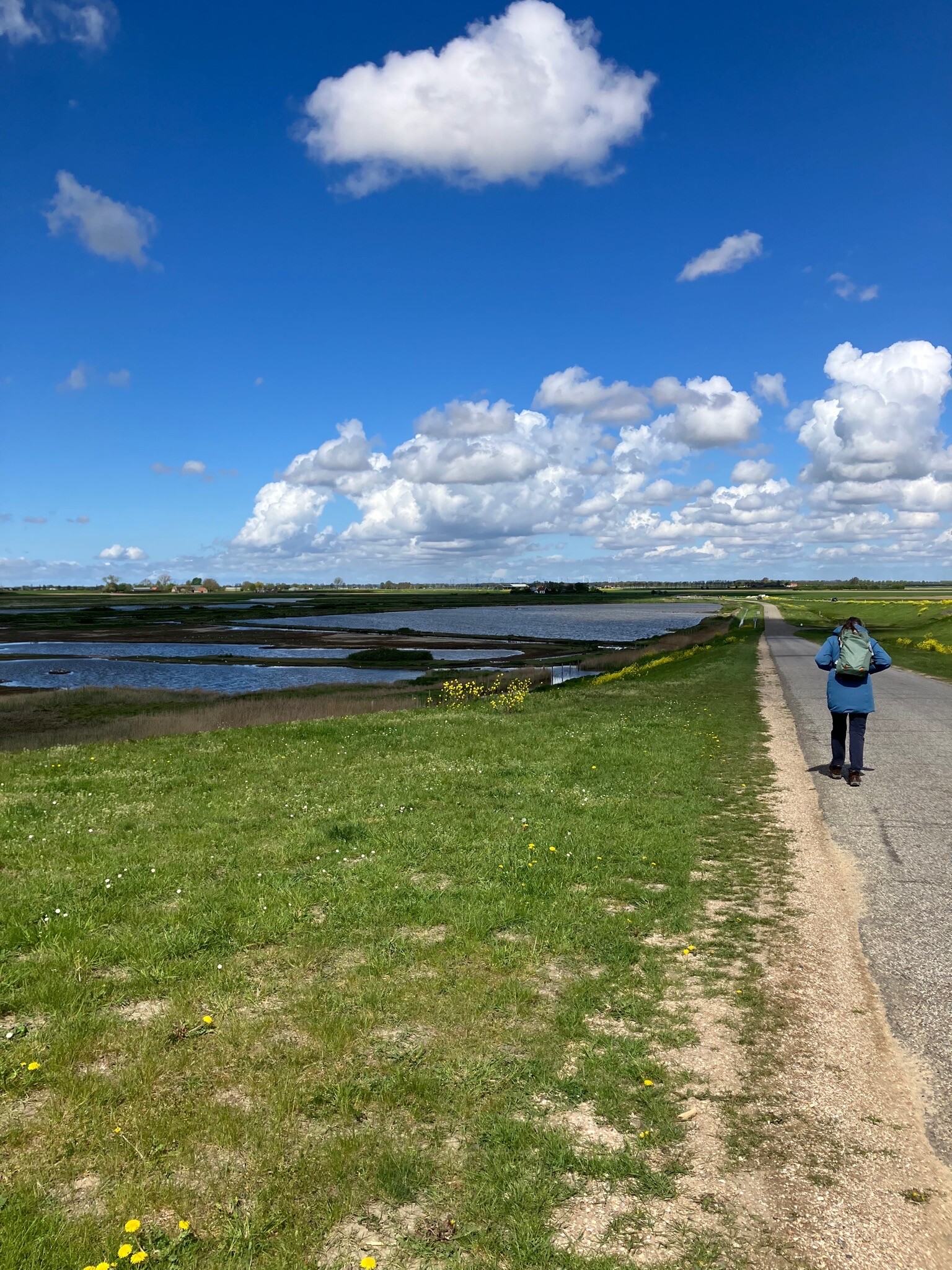 Scherpenisse - Tholen · Oosterscheldepad etappe 10