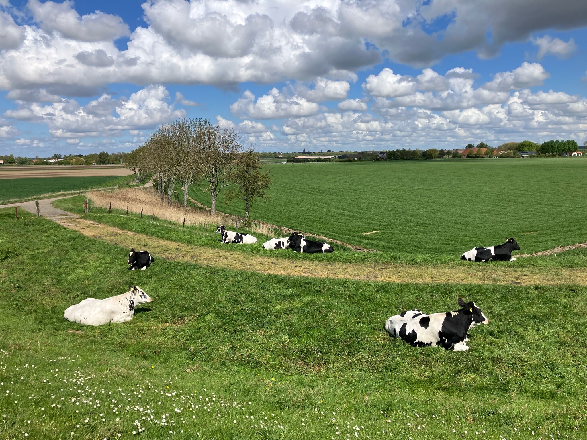 Scherpenisse - Tholen · Oosterscheldepad etappe 10