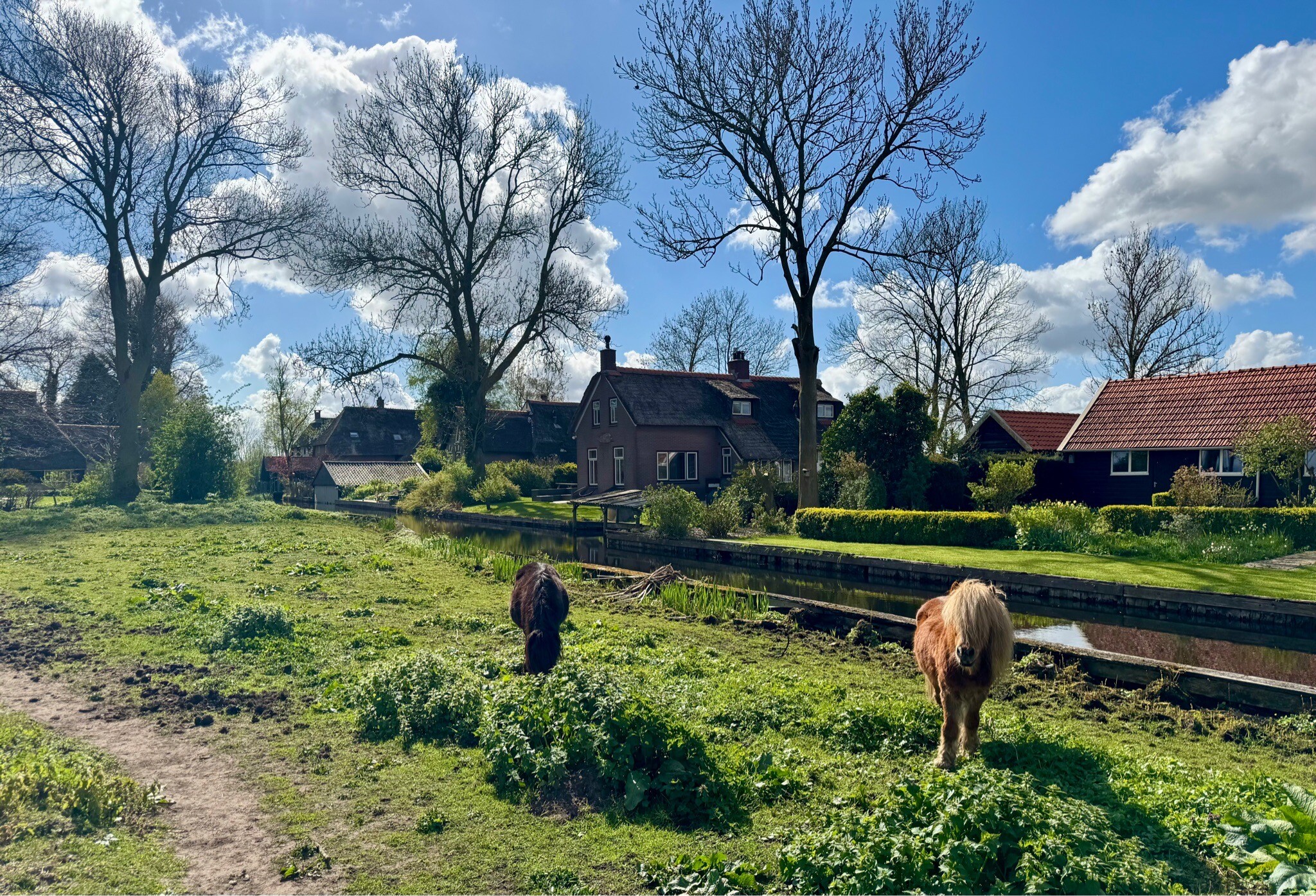 Muggenbeet - Paasloo · Overijssels Havezatenpad etappe 14