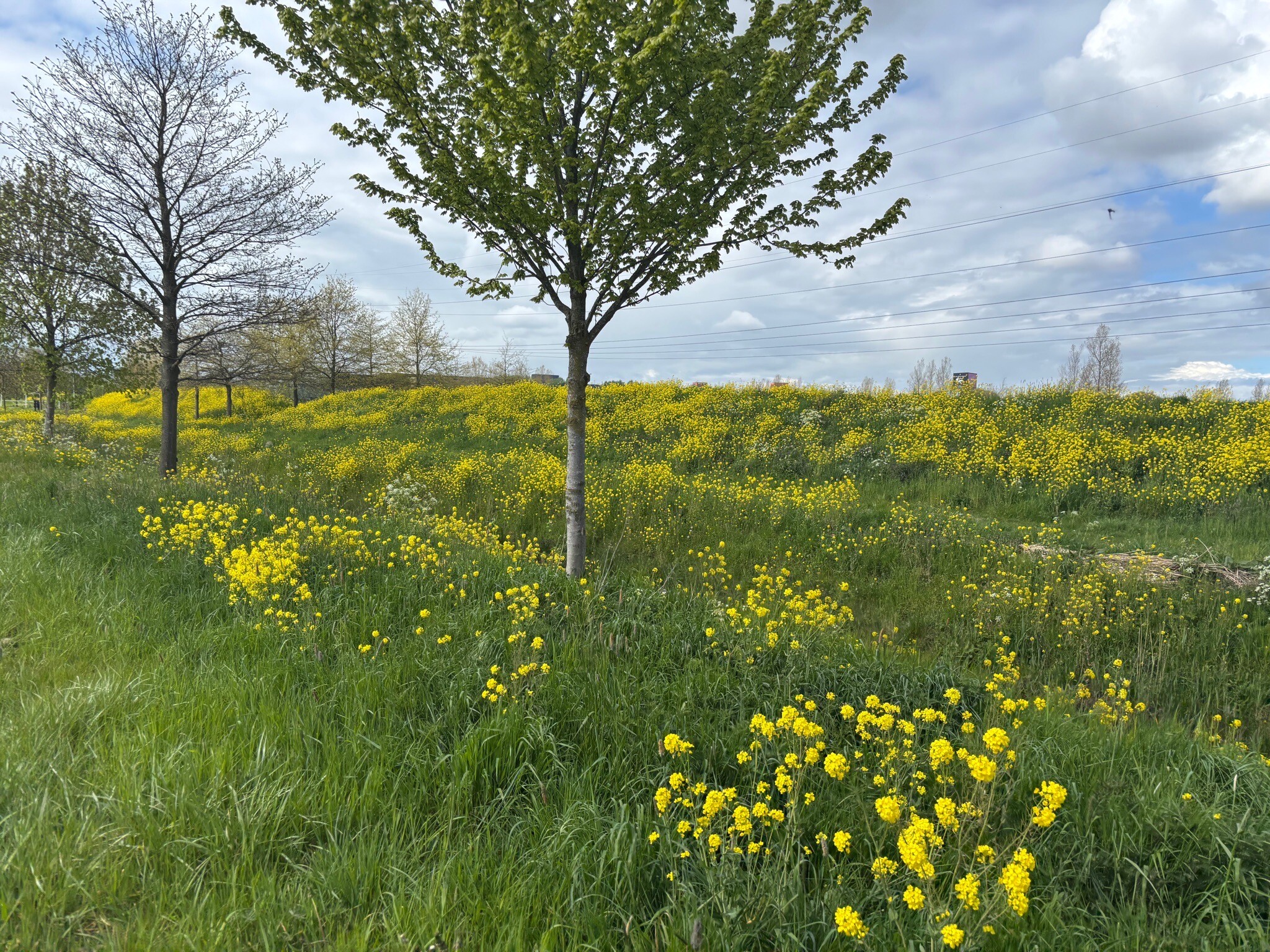 Utrecht, Archimedeslaan - Nieuwegein, Laagraven · Waterliniepad etappe 13