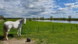 Hoven (Zutphen) - Deventer (station 1 km) · Hanzestedenpad etappe 3
