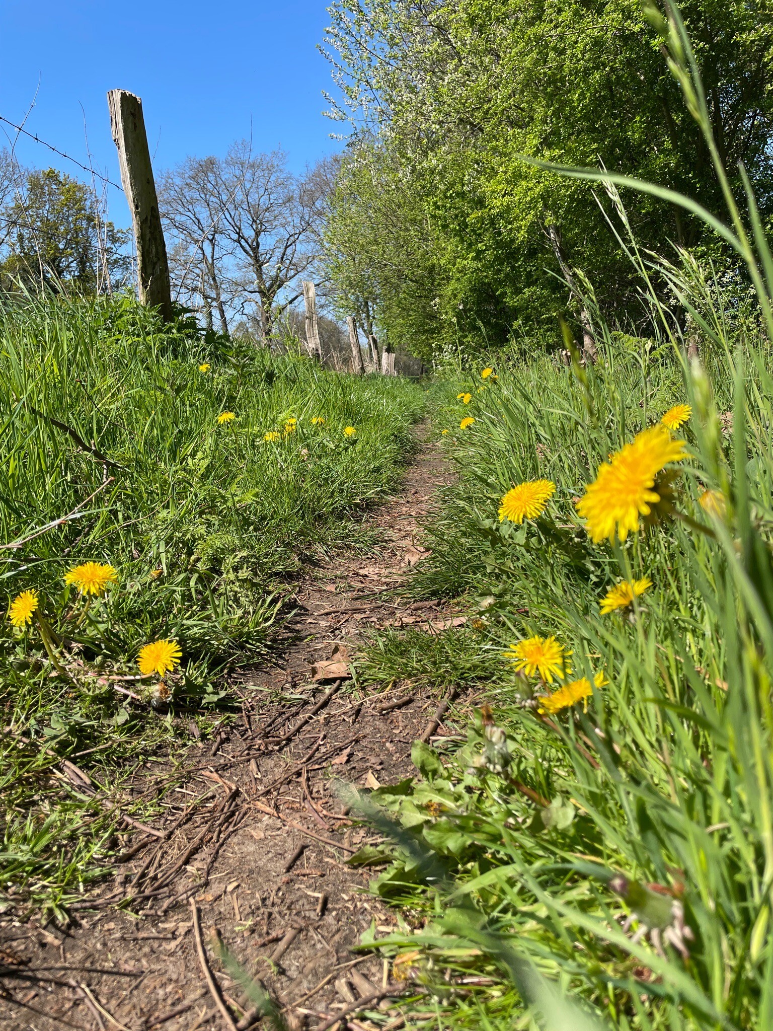Lonneker - Boekelo · Overijssels Havezatenpad etappe 2