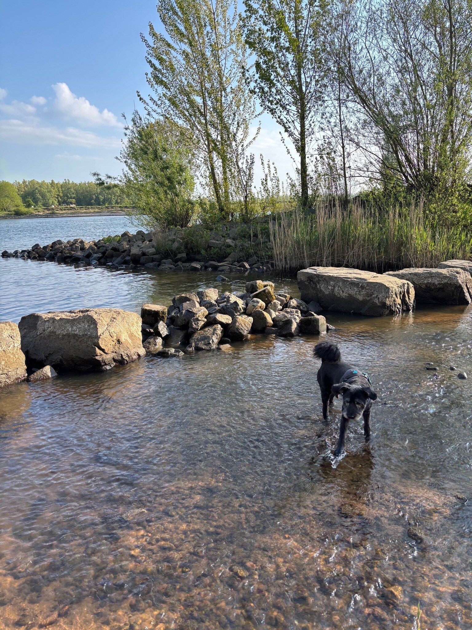 Maarten van Rossumpad