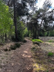 Veenhuizerveld - Terschuur · Marskramerpad etappe 12