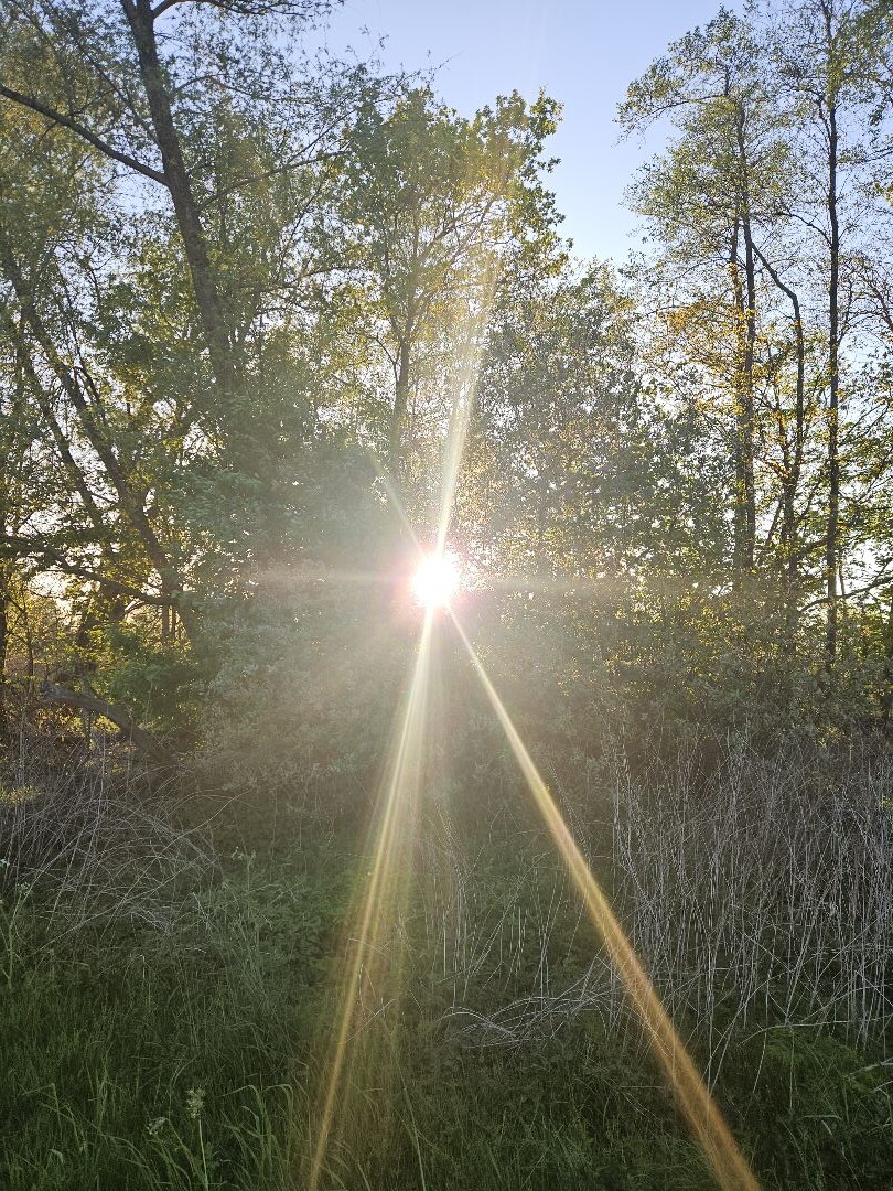 Sint-Oedenrode - Sonse Brug · Brabants Vennenpad etappe 3