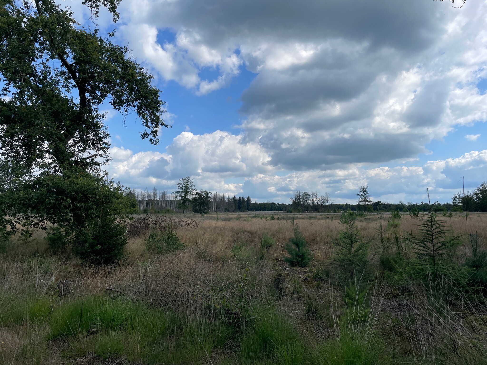 Rondje voormalig kamp Westerbork-Sterrenwacht-Zwiggelte