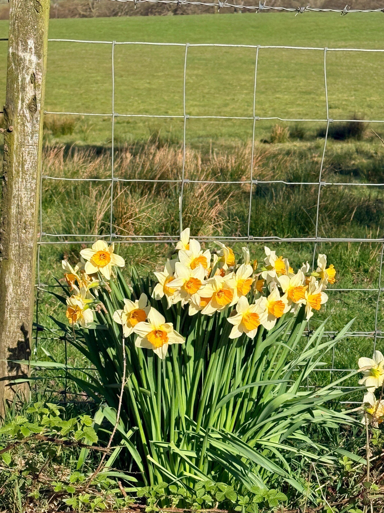John Muir Way: 2. Balloch - Strathblane