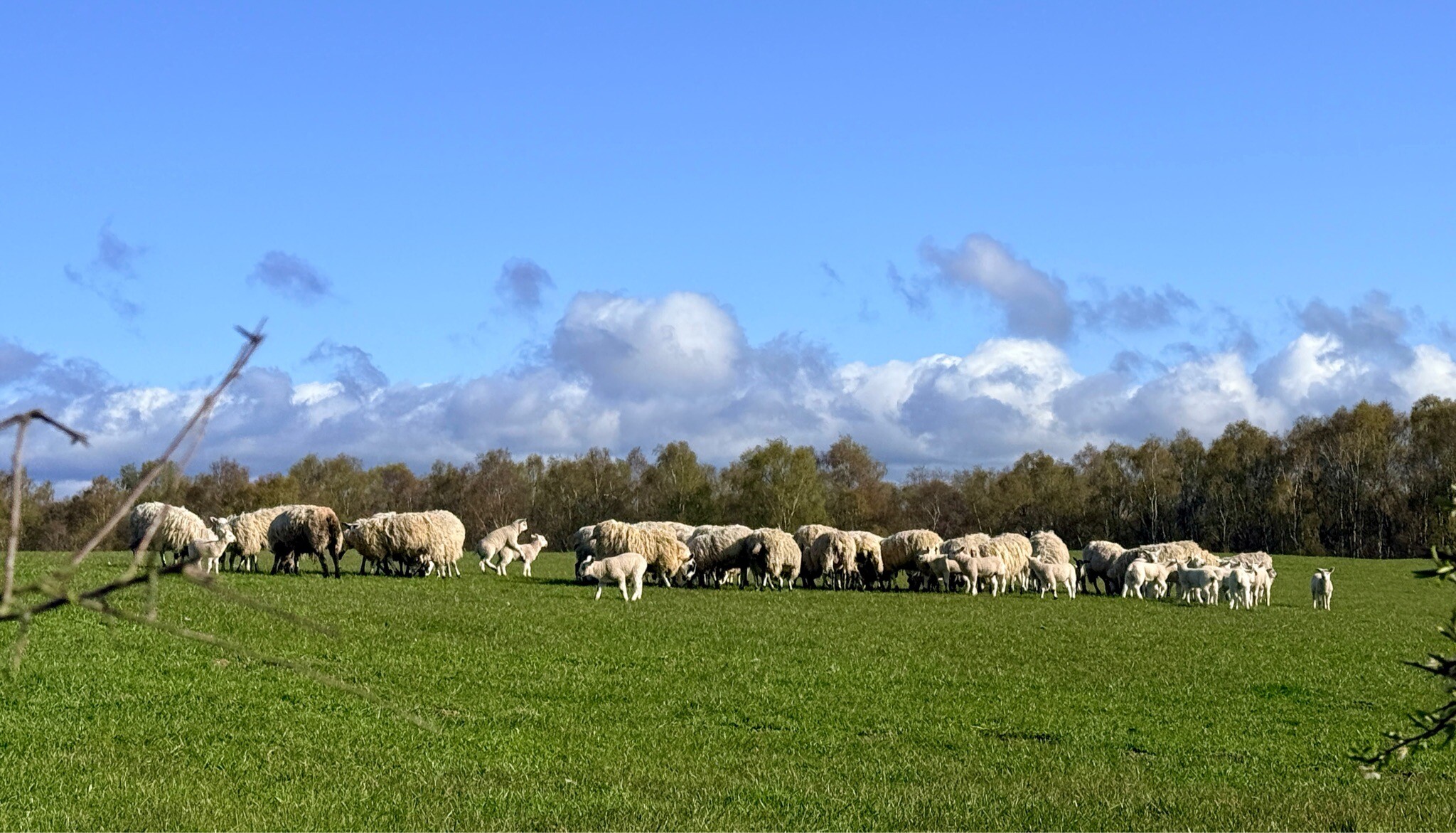 John Muir Way: 2. Balloch - Strathblane