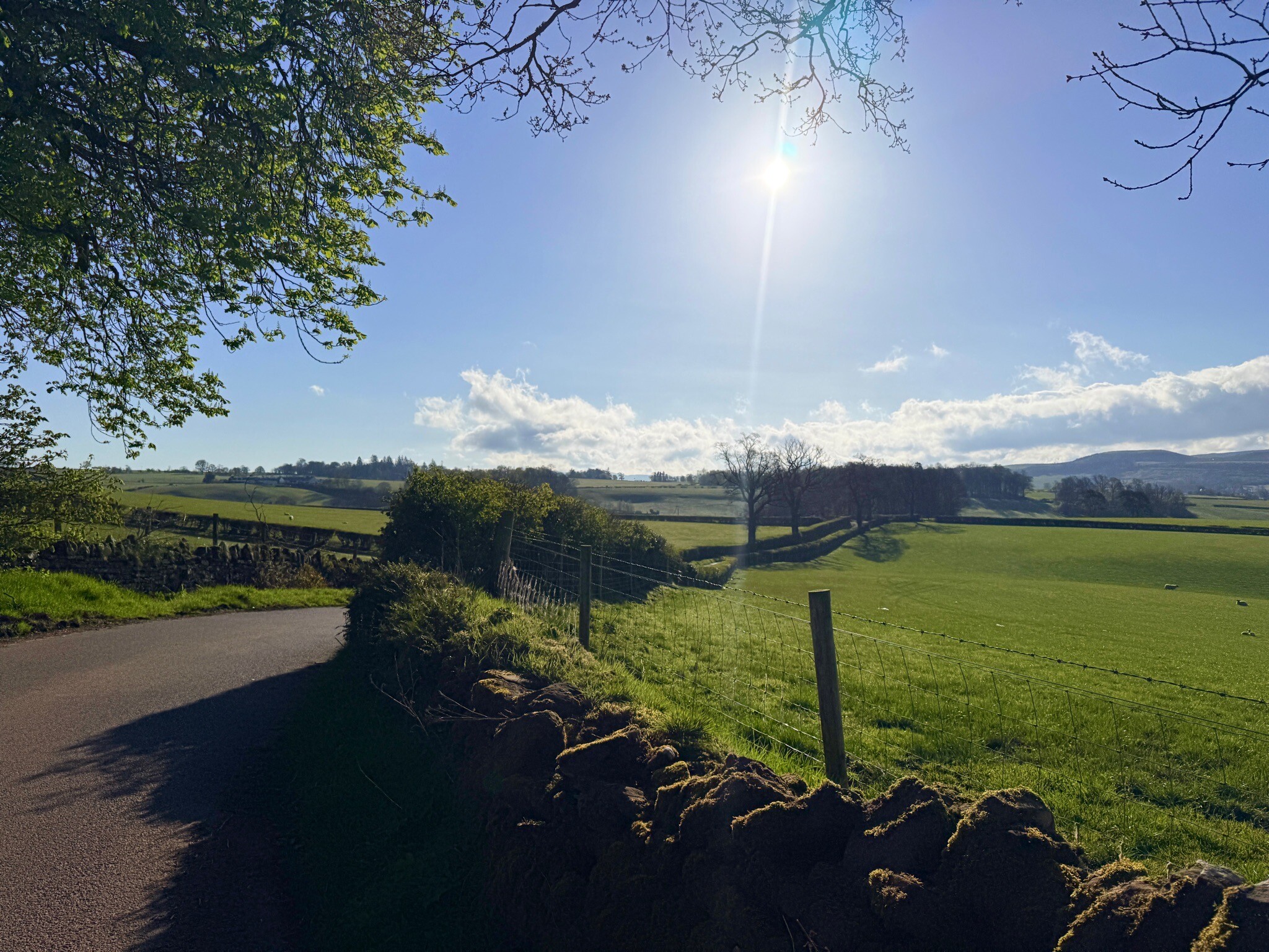 John Muir Way: 2. Balloch - Strathblane