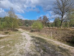 Wandelroute Margaretha