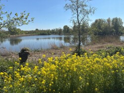 Asperen - Fort Vuren · Waterliniepad etappe 17