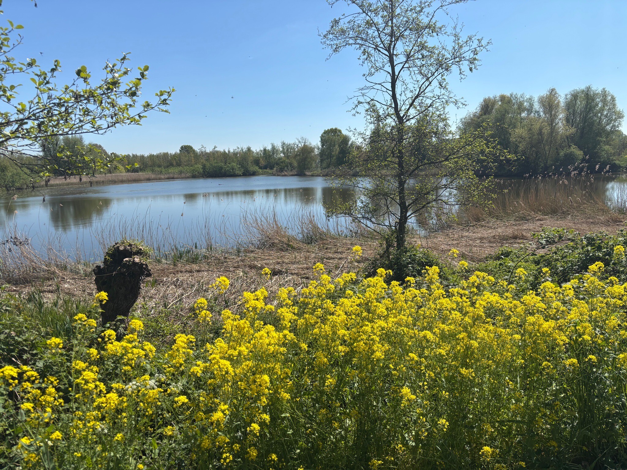 Asperen - Fort Vuren · Waterliniepad etappe 17