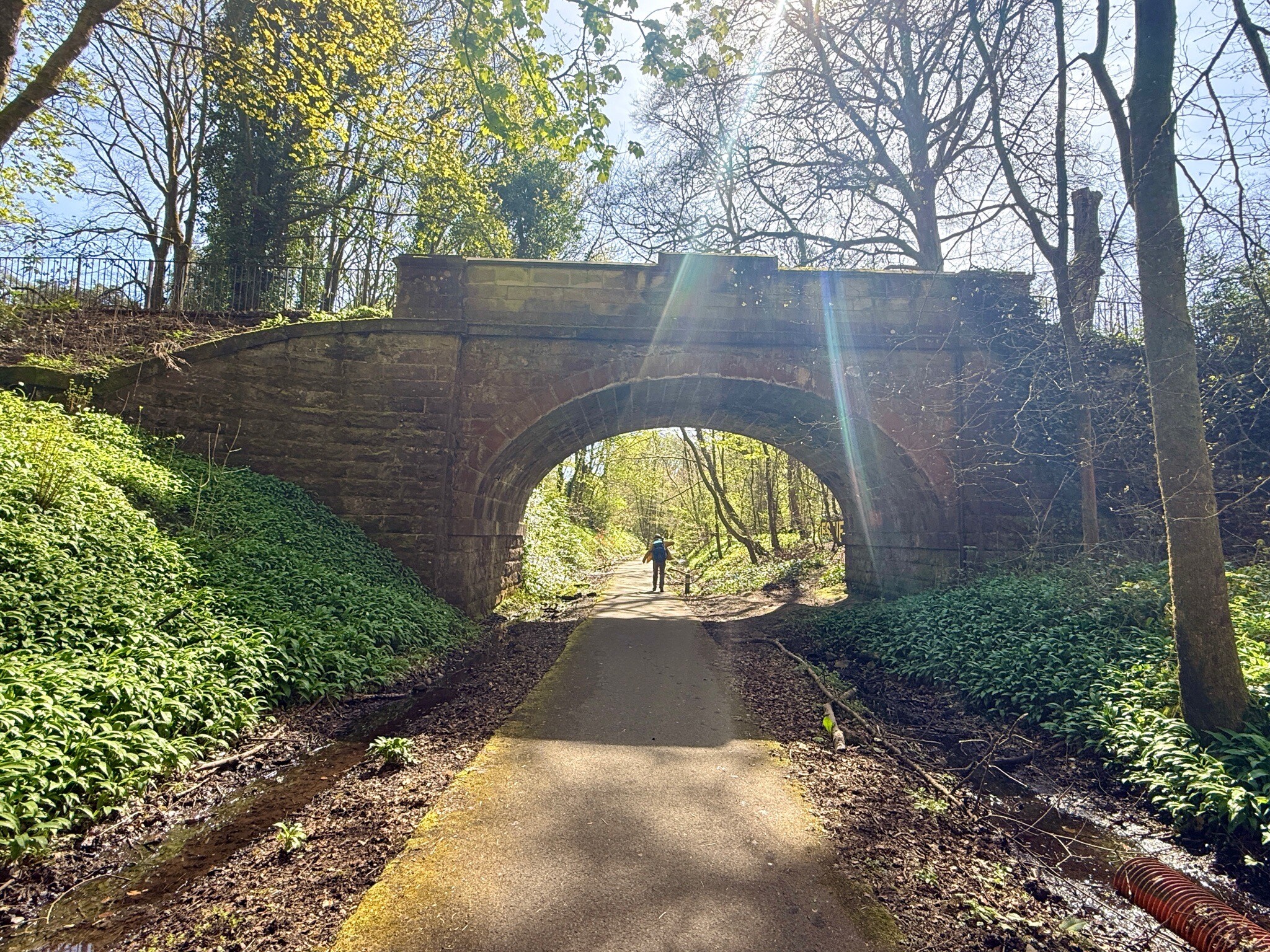 Strathkelvin Railway Path