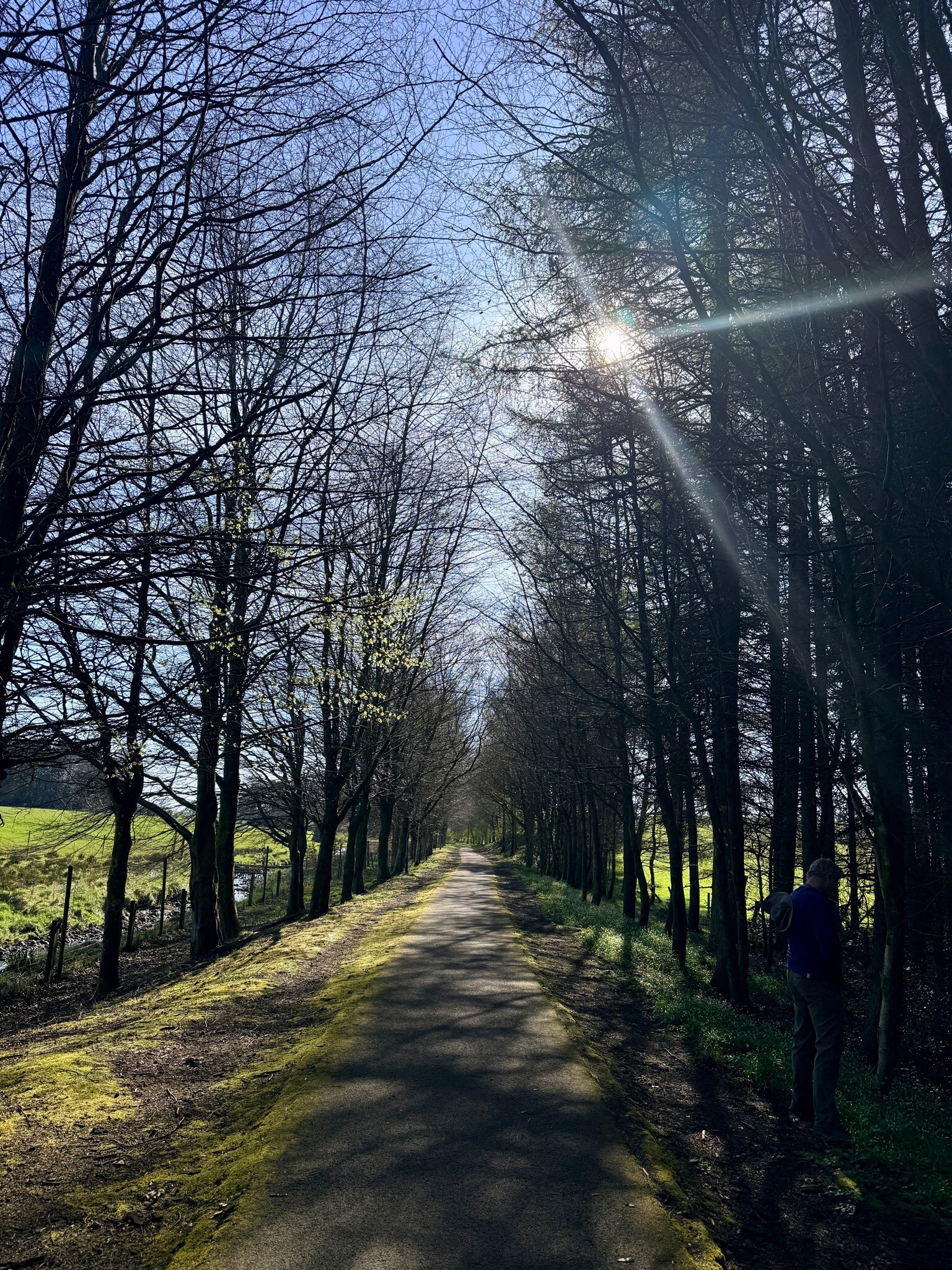 Strathkelvin Railway Path
