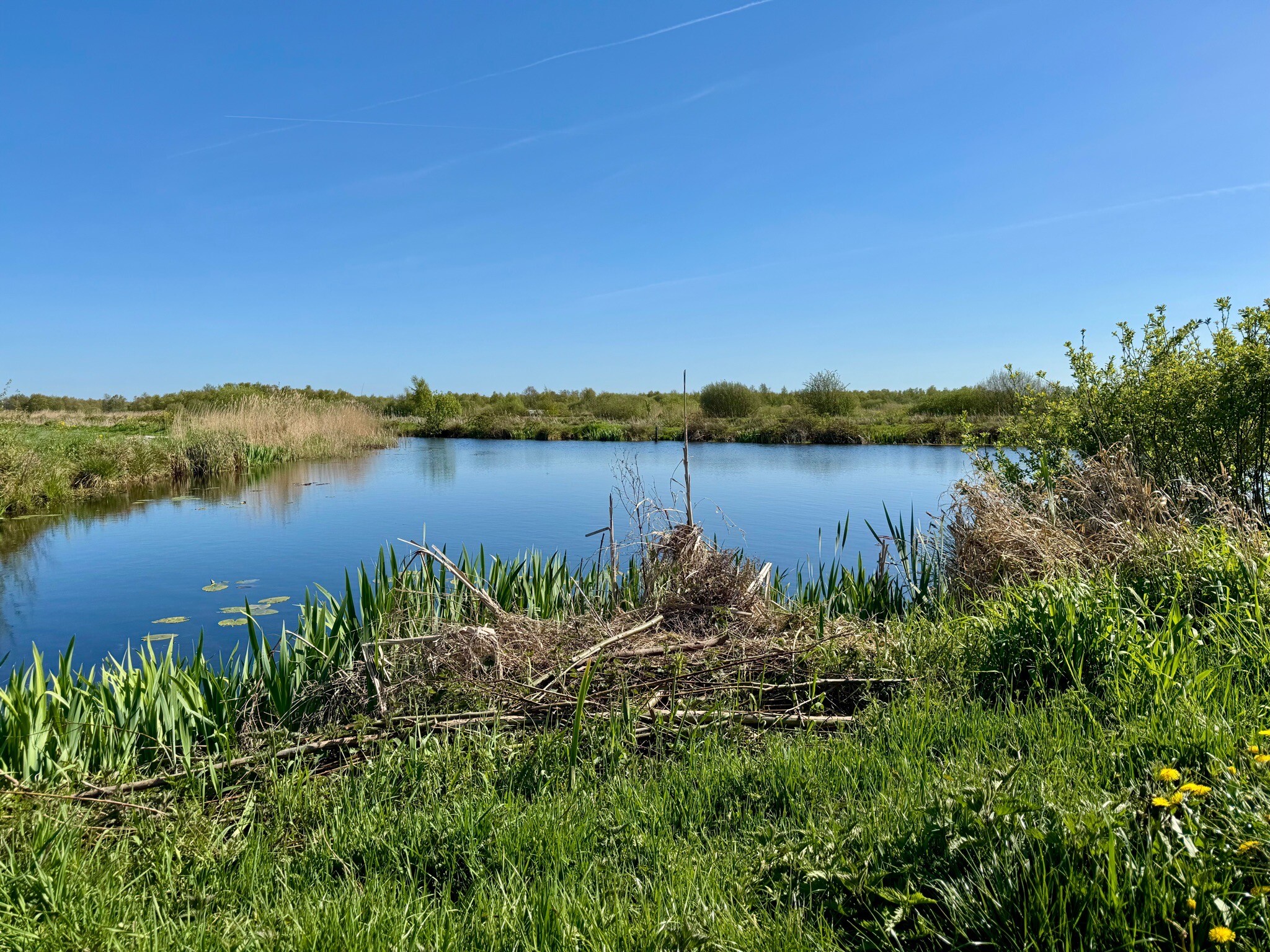 Ossenzijl - Delfstrahuizen/Ech · Zuiderzeepad etappe 19