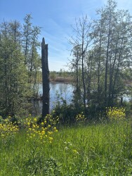 Fort Vuren - Woudrichem · Waterliniepad etappe 18