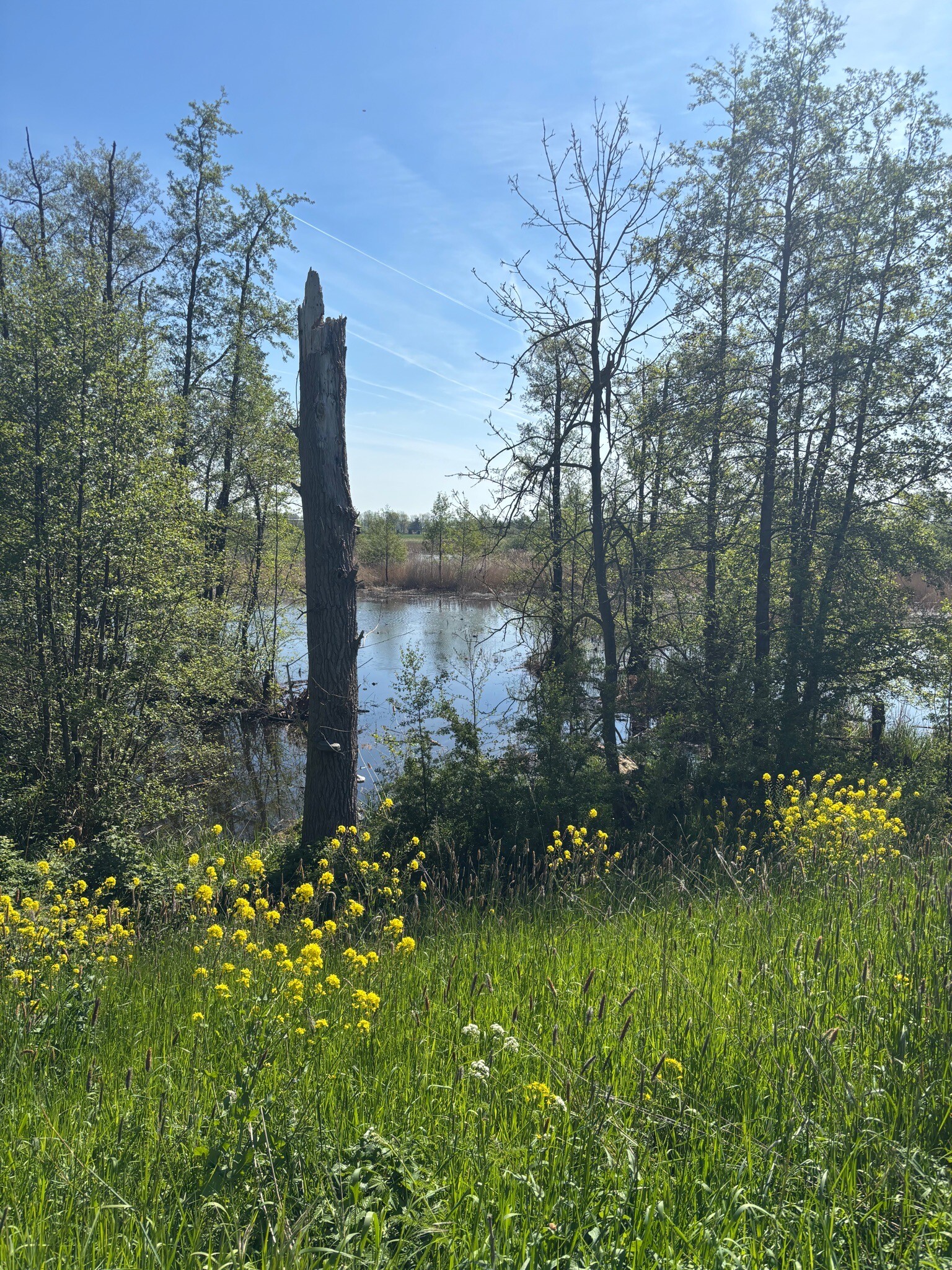 Fort Vuren - Woudrichem · Waterliniepad etappe 18