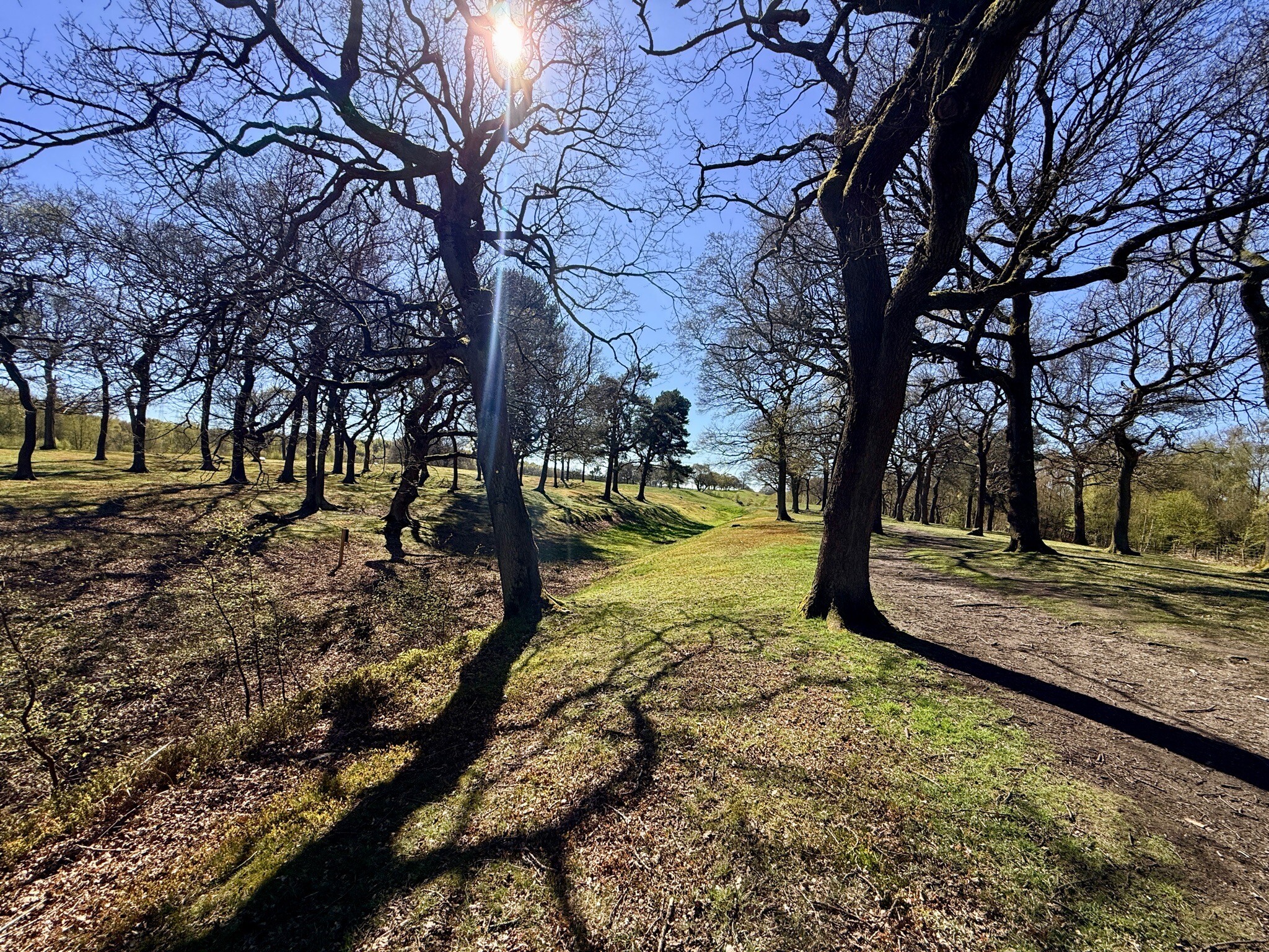 John Muir way: 4. Kilsyth - Falkirk