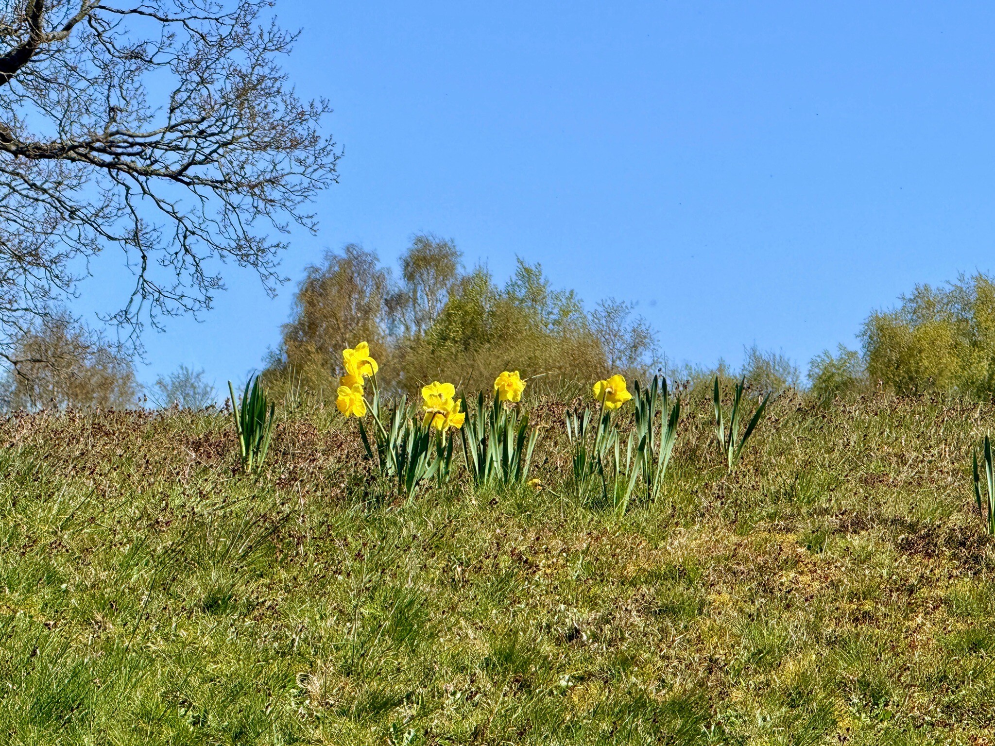 John Muir way: 4. Kilsyth - Falkirk