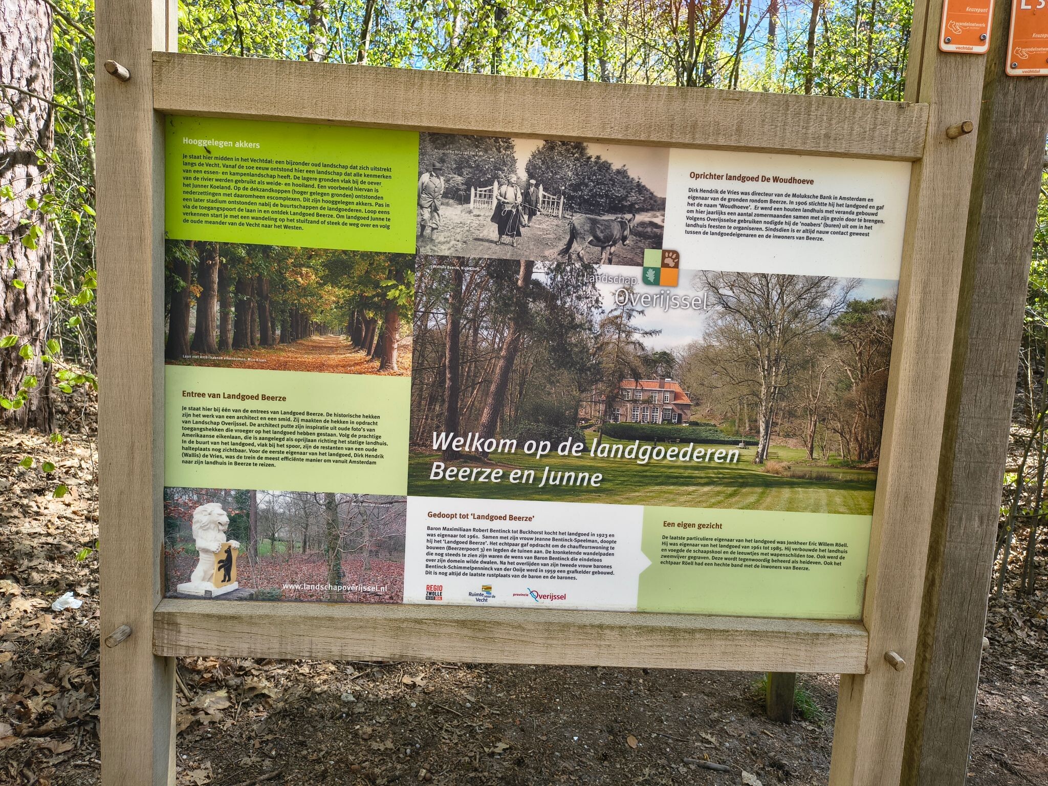 Beerzerzand - Oranje