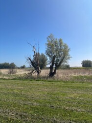 Woudrichem - Steurgat · Waterliniepad etappe 19