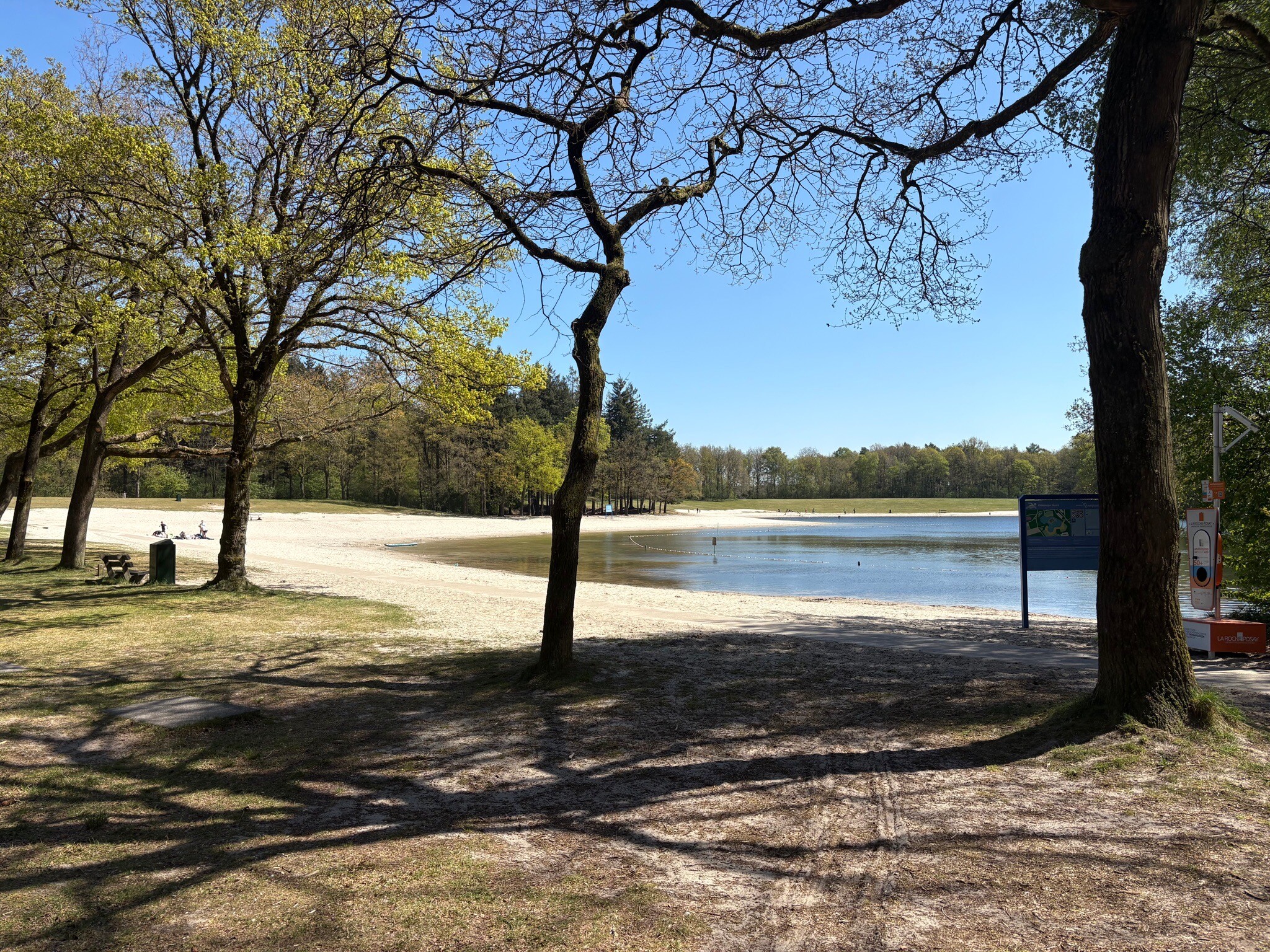 De Oldemeijer - Paars