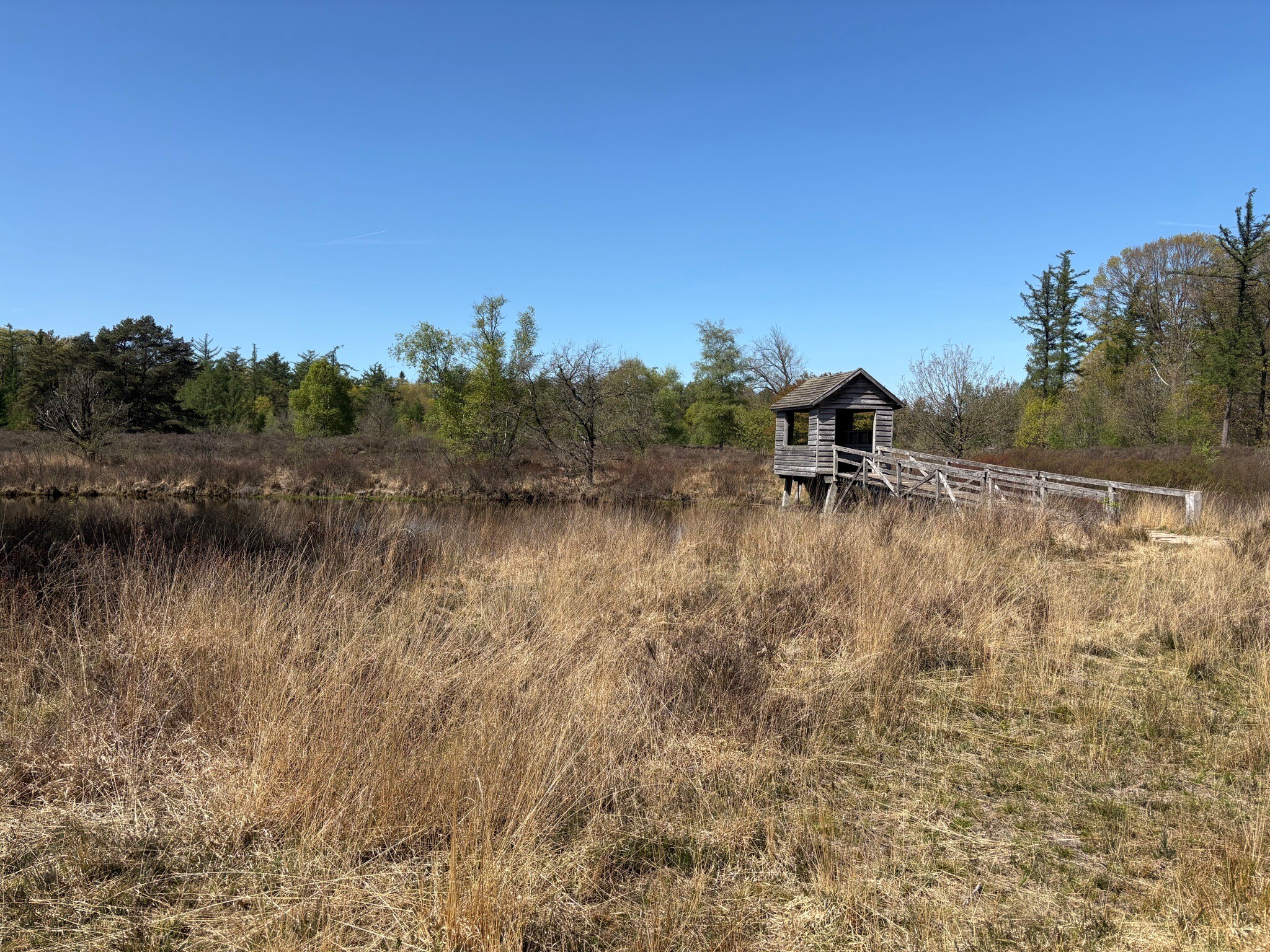 De Oldemeijer - Geel