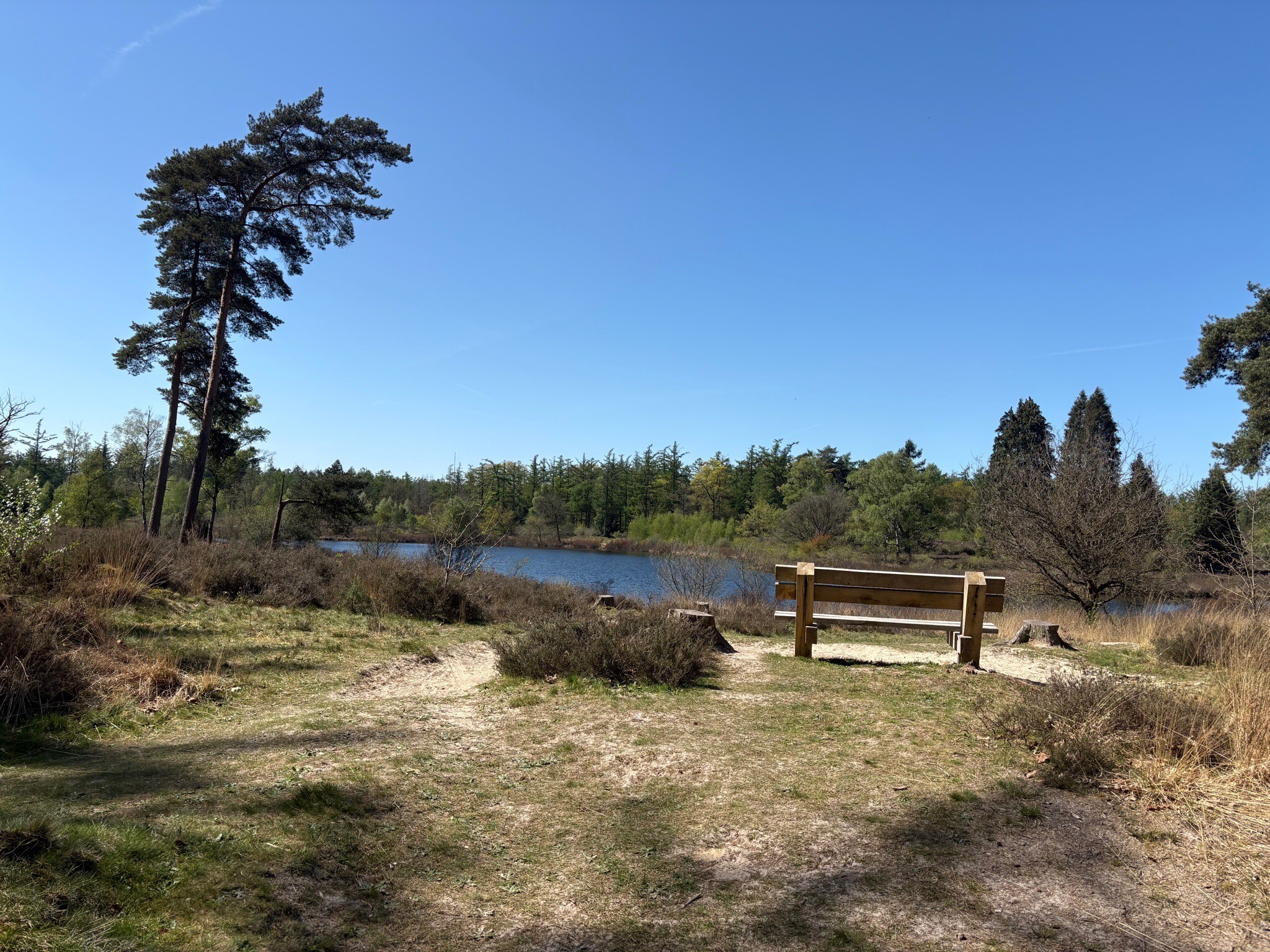 De Oldemeijer - Geel
