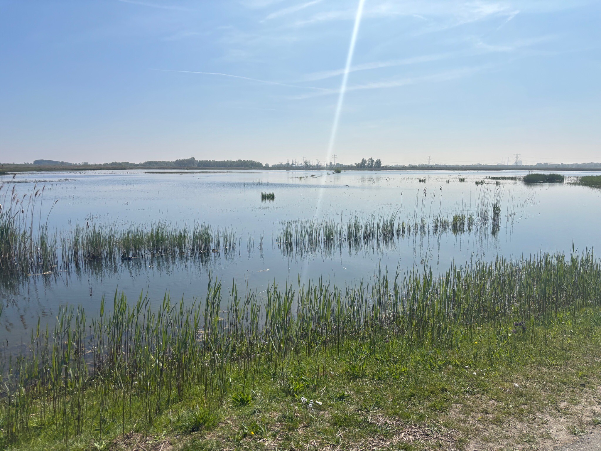Steurgat - Veer Nieuwe Merwede · Waterliniepad etappe 20