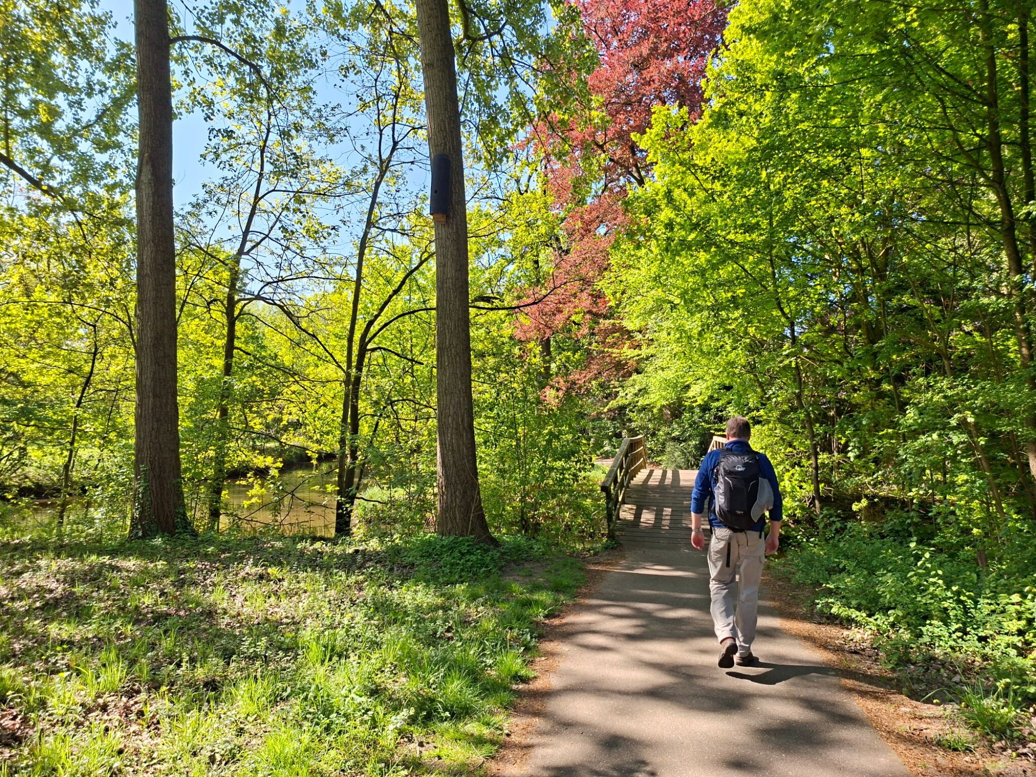 Eindhoven - Velhoven-dorp · Camino Brabant etappe 5