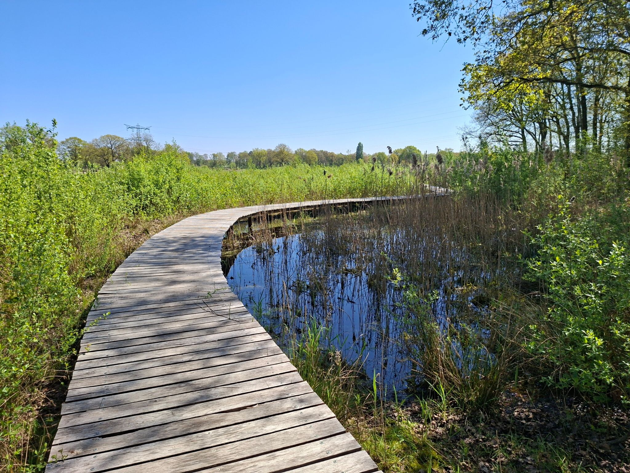 Eindhoven - Velhoven-dorp · Camino Brabant etappe 5