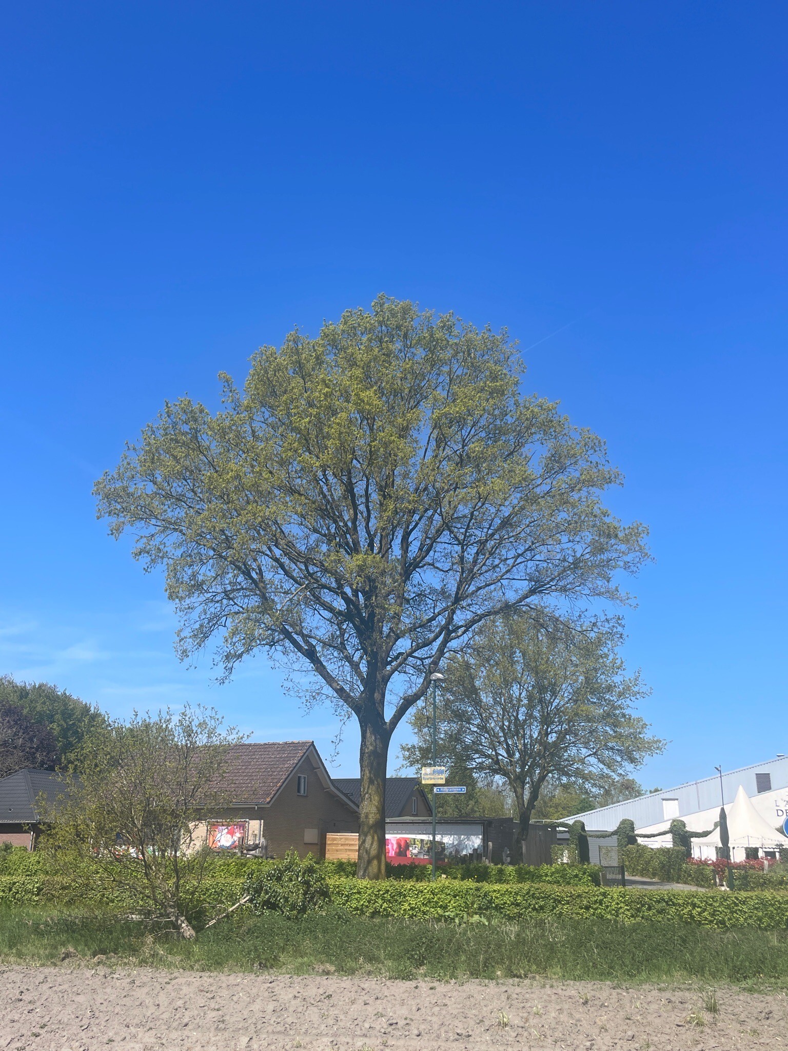 Camino Brabant