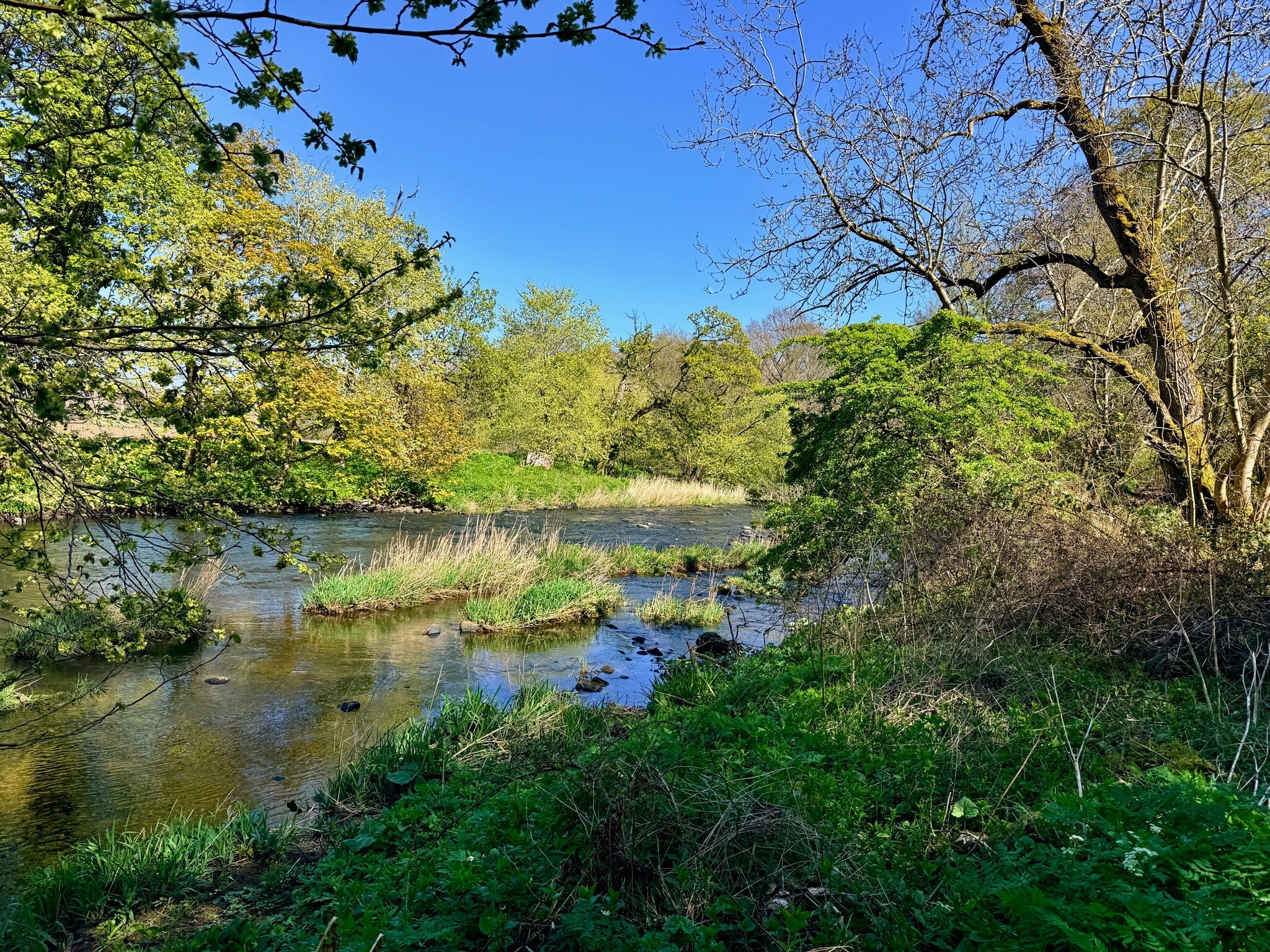 John Muir Way: 5. Falkirk - Linithgow