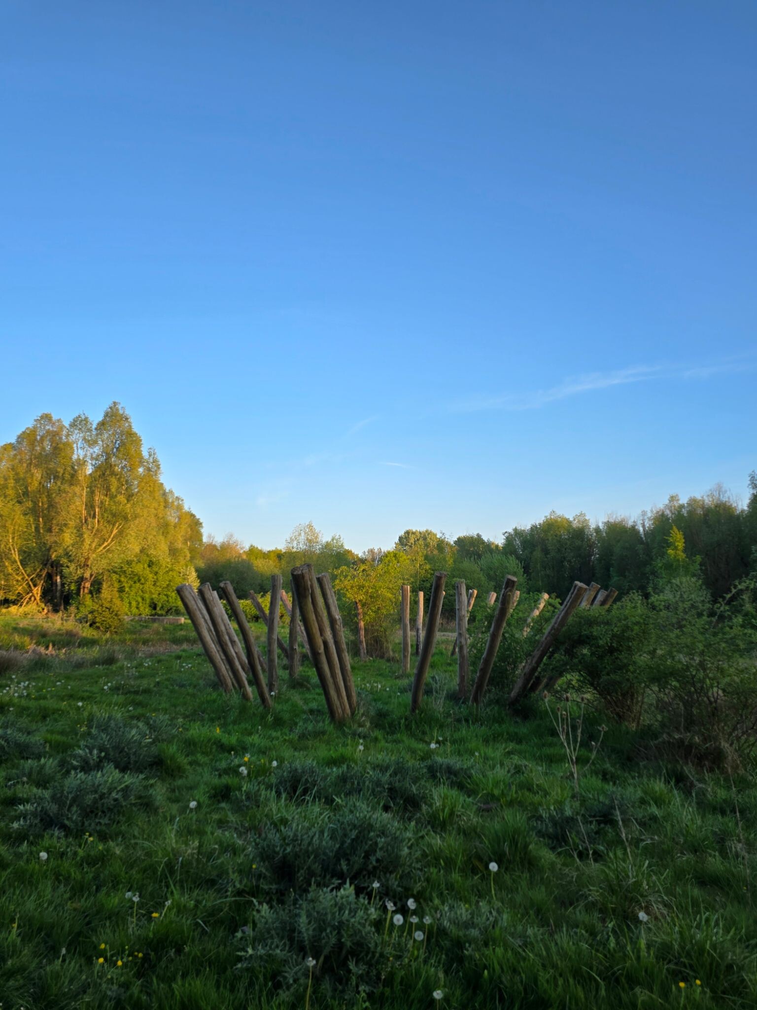 Pionierspad dagwandeling E