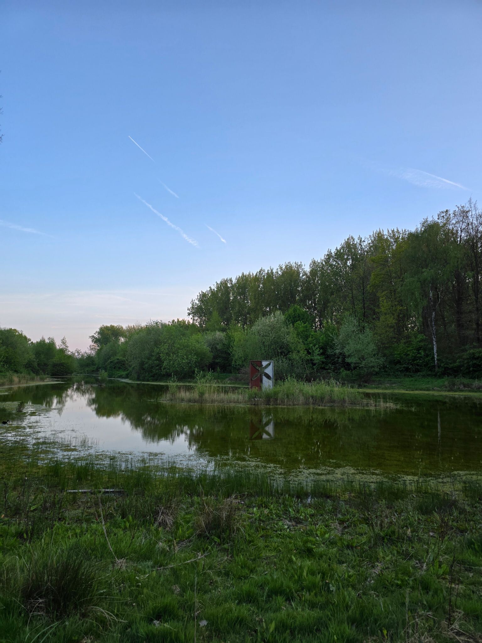 Pionierspad dagwandeling E