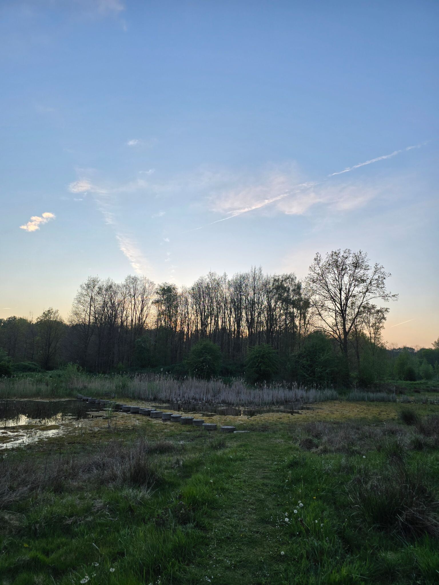 Pionierspad dagwandeling E