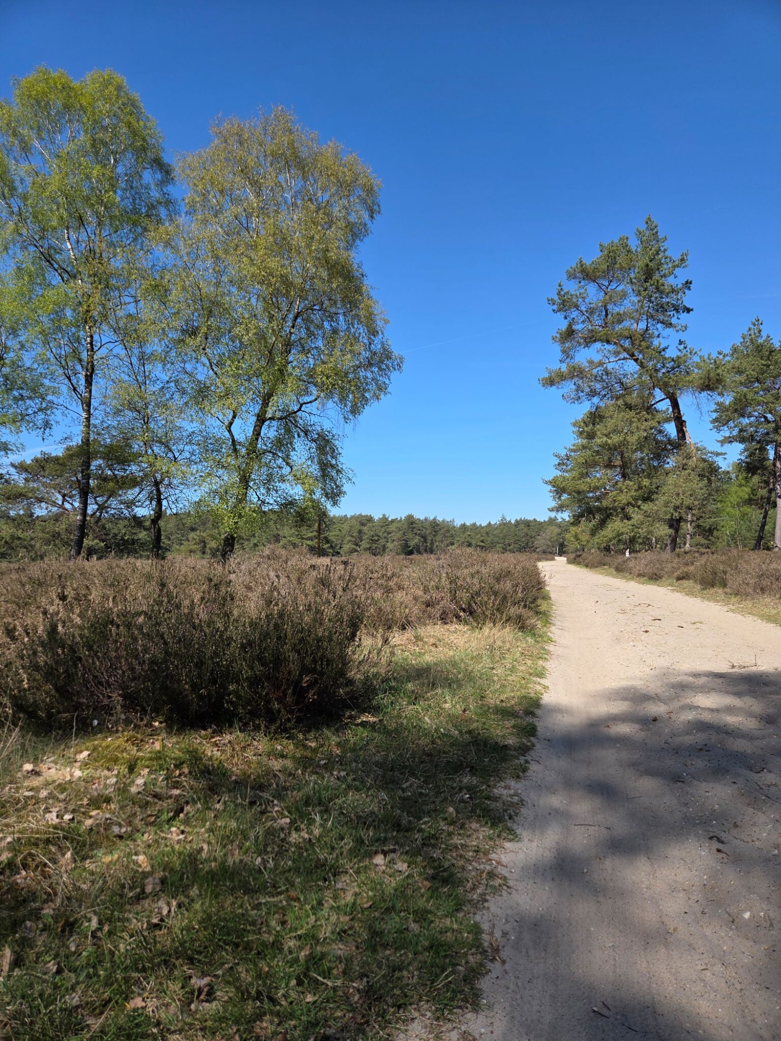 Ede - Otterlo · Trekvogelpad etappe 16