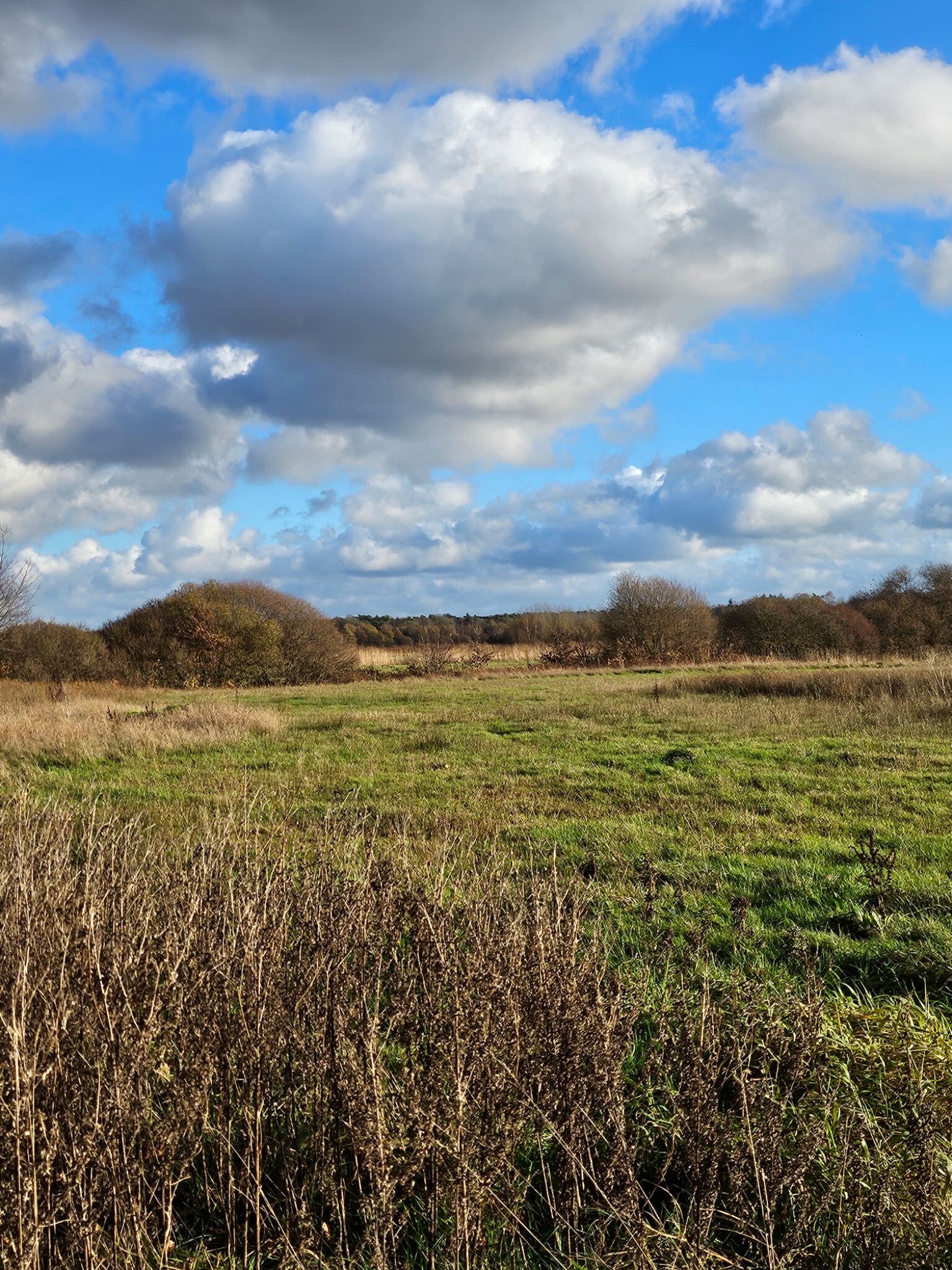 Ommetje Doldersum - Esdorp