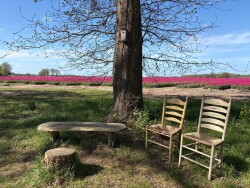 Diffelen - Groen