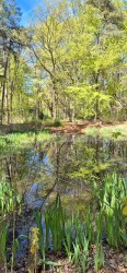Nijmolensebeekpad