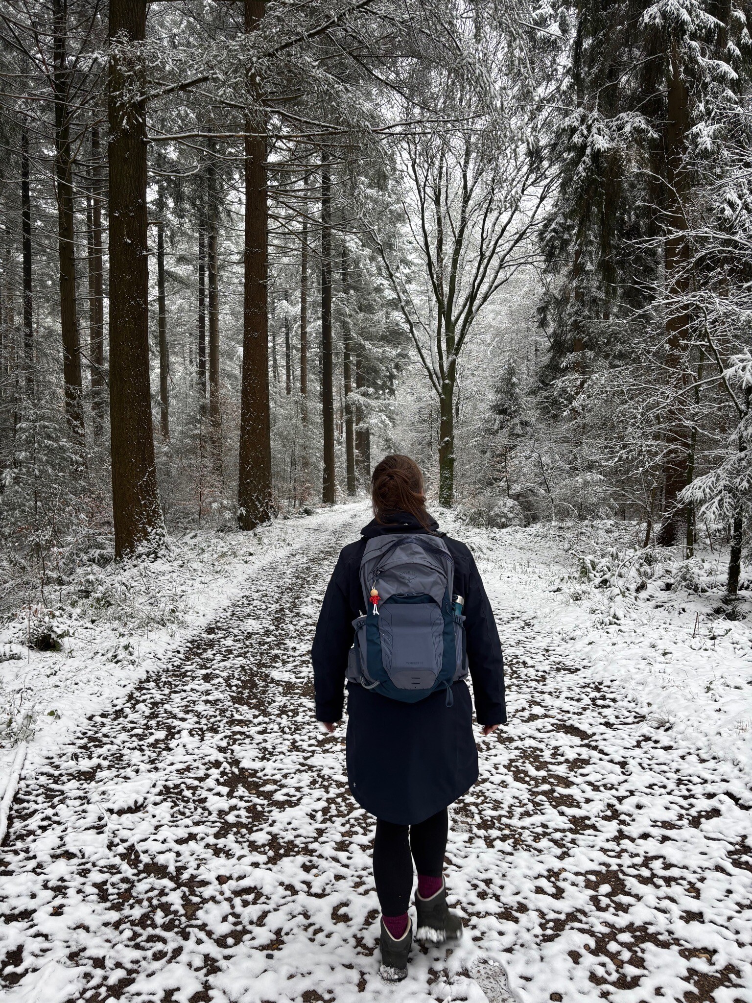 Braamt - Millingen · Pieterpad etappe 16