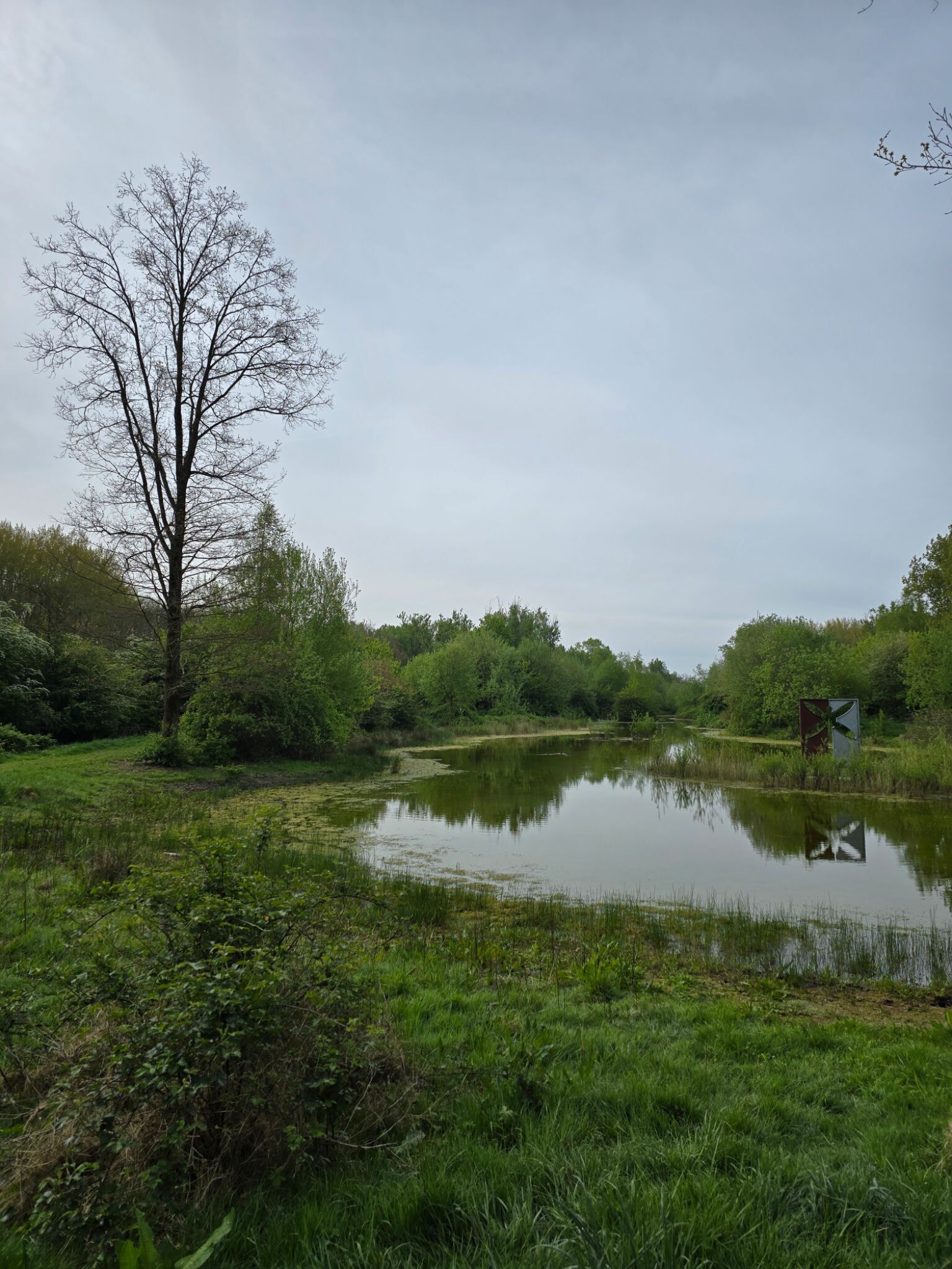 Pionierspad dagwandeling E