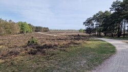Bussum - Baarn · Trekvogelpad etappe 9