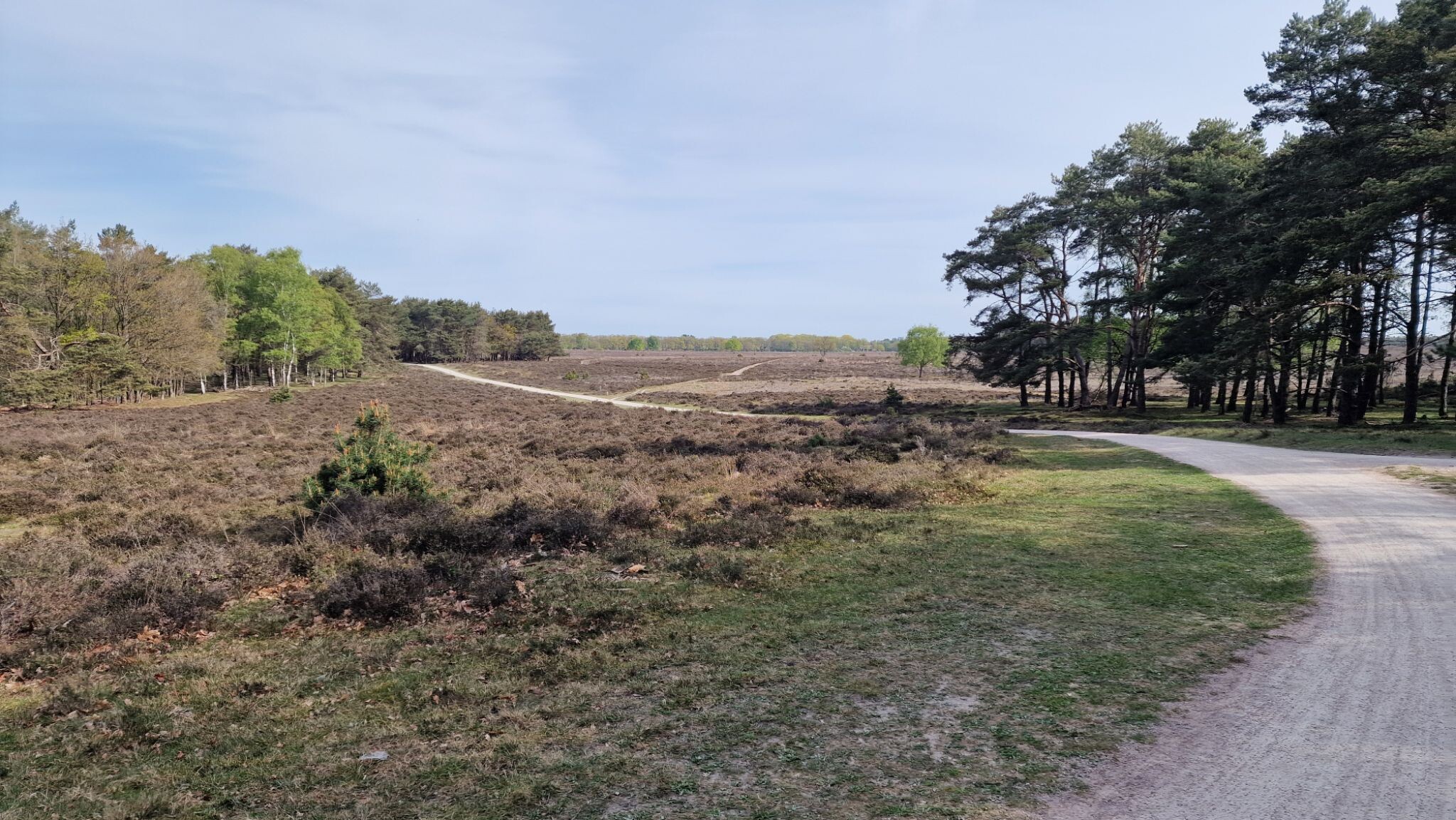 Bussum - Baarn · Trekvogelpad etappe 9