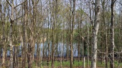 Bussum - Baarn · Trekvogelpad etappe 9