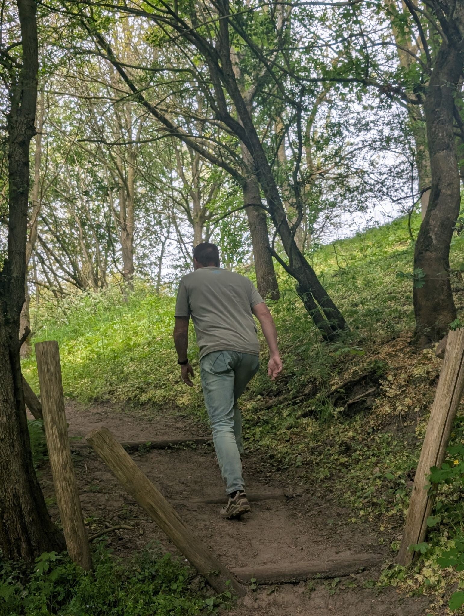 Wekeromse heide