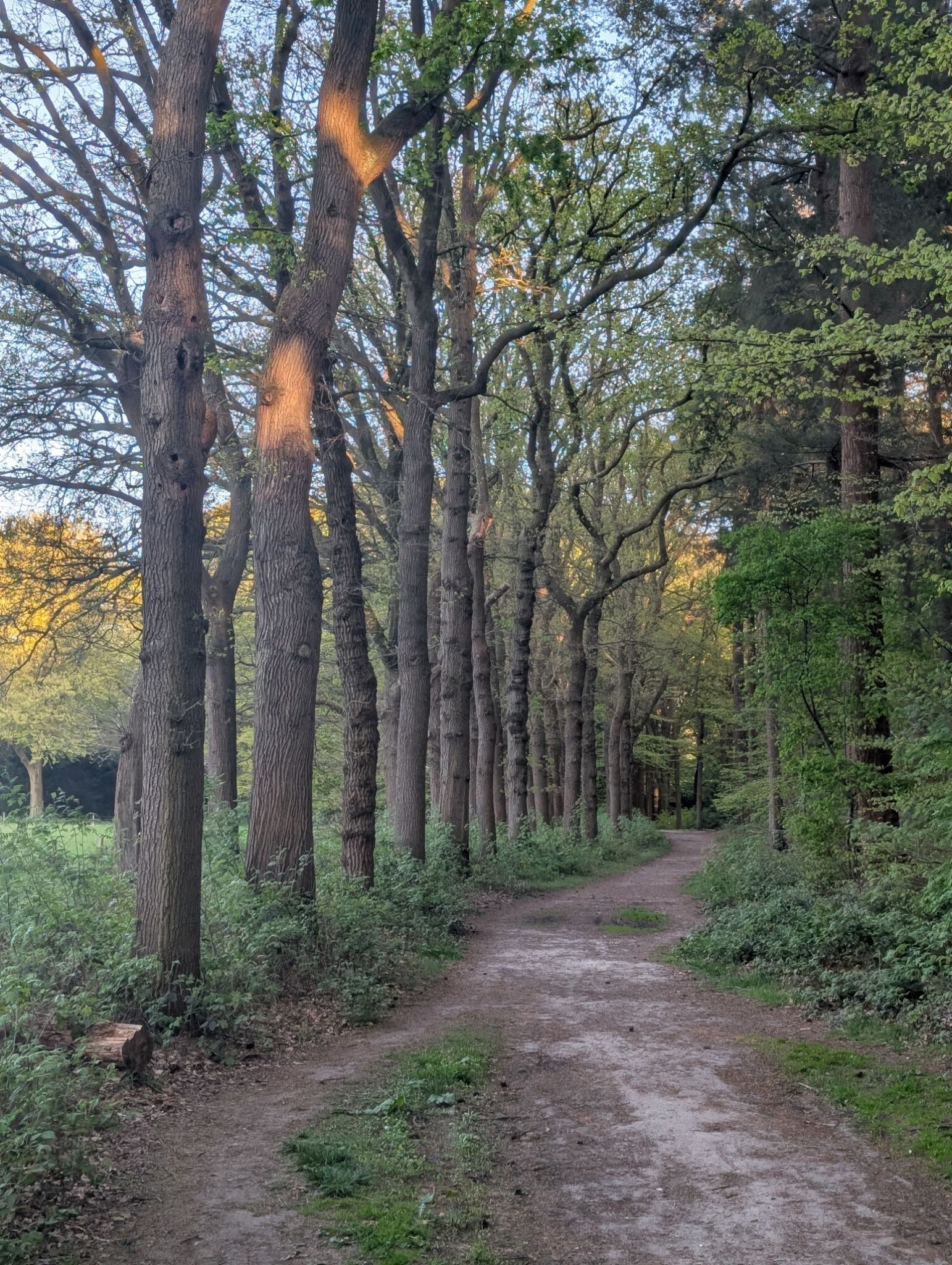 Groevenbeek