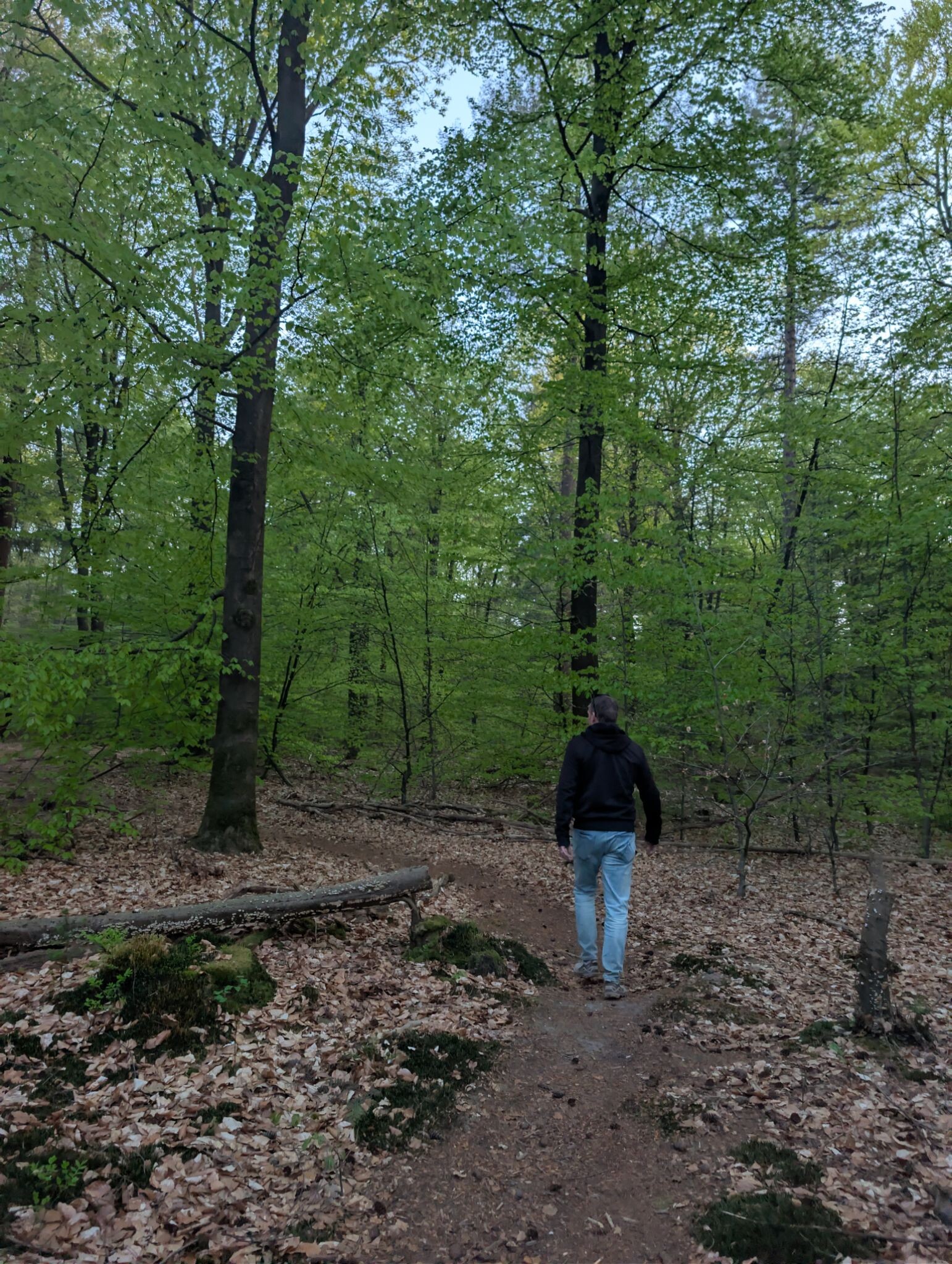Groevenbeek