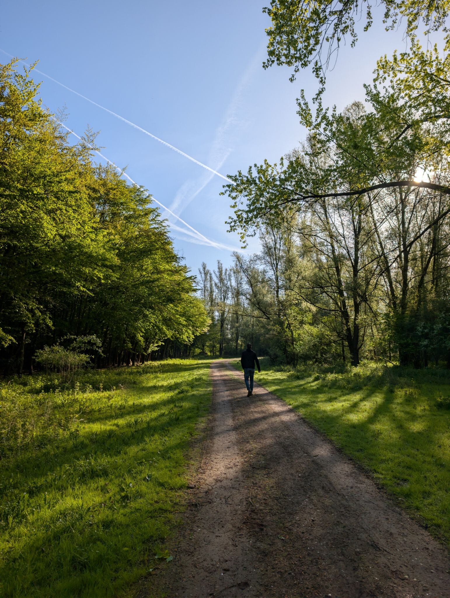 Stille kern bij zonsopkomst